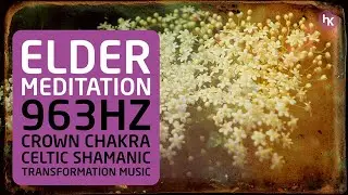 Elder Tree Meditation | 963Hz Crown Chakra | Celtic Shamanic Transformation Music