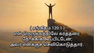 Today Bible Verse In Tamil | Tamil BibleVerse  | Tamil Bible Promises |  தமிழ் பைபிள் வாக்குறுதிகள்