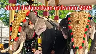cherai thalapokkam malsaram 2026 തിടമ്പ് കാളിയാർ മഠം ശേഖരൻ