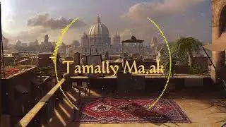 Arabik Slowed Reverb Romantic Song | #romanticreverbsong #arabicslowedsong #slowedsong