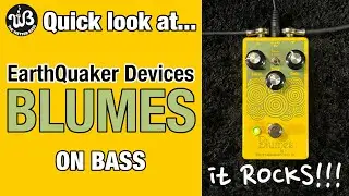 Plumes + Bass = Blumes! EarthQuaker Devices made an overdrive pedal specifically for us!
