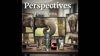 Episode 0114: Perspectives