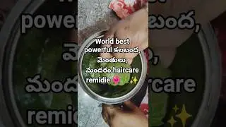 world bestpowerful alovera, Fenugreek,hibiscushaircare remidieinTelugu🌺🌿#hairgrowth#haircare#alovera
