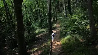 Cool Woodland, Warm Meadow