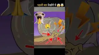 👉 Ye Cute Janwar Andar Se Killer Hai 😳😱 | Wombat Facts