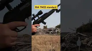 Rock Island Armory/Derya TM22 standard rifle. For $108 it's a no brainer