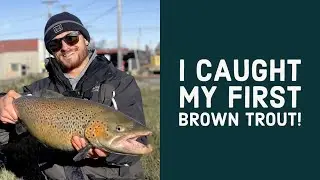 I caught my first Brown Trout!