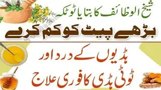 Best life Quotes in urdu|Hikmat ki batien|Rumi Quotes|Aqwal e zareen|Motivational Quotes|Urdu Quotes