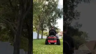 Big dog alpha zero turn lawnmower cutting st Augustine grass
