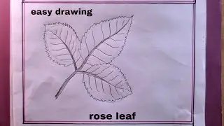 How to Draw a Rose Leaf Easy Step by Step/Rose Leaf Drawing