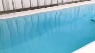 Andre inverted roller Speargun