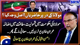 Important Meeting With Maulana - 