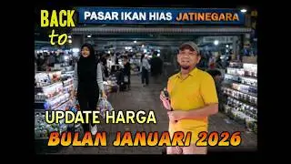KE PASAR IKAN HIAS JATINEGARA LAGI