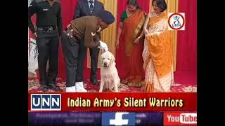 Indian Army&rsquo;s Silent Warriors: A New Chapter for Retired Military Dogs