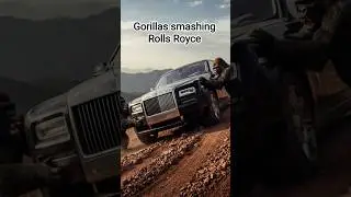 Gorillas can't Hold it anymore crushed Rolls Royce