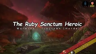 Blood Dk Tank(In) & Combat Rouge | The Ruby Sanctum 25 Heroic - Warmane
