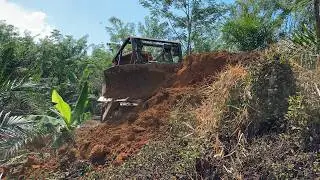 Watching the D6R XL Bulldozer Work on the Palm Plantation Slope