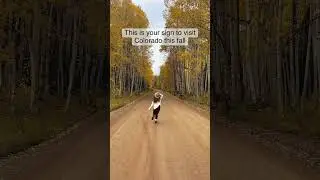 Chasing Fall Colors in Colorado 2022