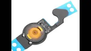 Back Button Home Button Flex for iPhone 5