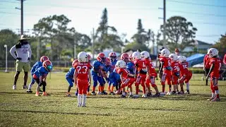 ✨⚡️ 6U Naples Gators | North Ft. Myers Knights Spring