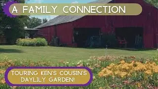 MEMORY LANE | Tour Ken's cousin's daylily garden