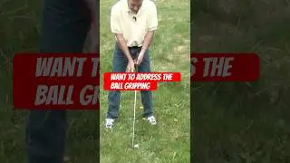 Golf, The FlashVog Way #crazy #comedyshorts #golf