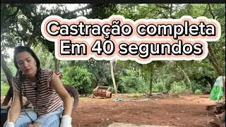 CASTRAÇÃO COMPLETA EM 40 SEGUNDOS!