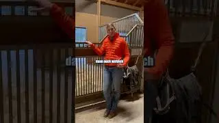 Mehr Infos in den Kommentaren! Vertrauen st&auml;rken beginnt mit Geduld,Klarheit und echter Verbindung🐴