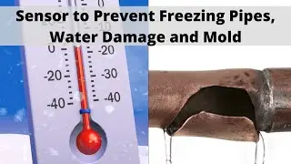 The Best Temperature and Water Sensor to Prevent Property Damage - The AWSAM TWS