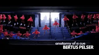 Bertus Pelser - Playgrounds Inmotion - Anatomy of a cue #9