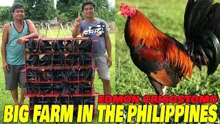 Edmon Crisostomo ECC FARM Laguna Big Farm In The Philippines