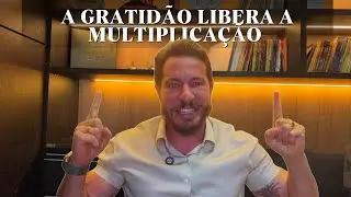 A GRATIDÃO libera a multiplicação na SUA VIDA
