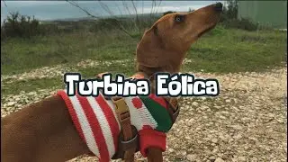 Lucky and the Giant Wind Turbines – Nature Adventure! 