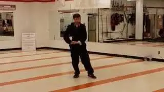 Butterfly Form - Hung Gar - Red Dragon School of Martial Arts