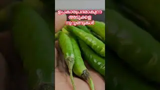Kitchen tips | kitchen tips | Excel electricals