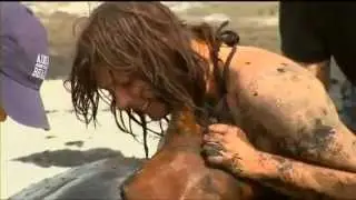 horse rescue - beach in Australia (Nicole Graham and Avalon)