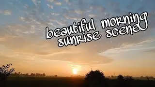 #beautiful #morning scene of my village // #sunrise video // #village scene morning