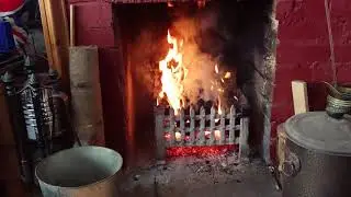 Bees up the chimney update 3