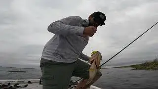 Headwaters bass fishing ( the spawn )