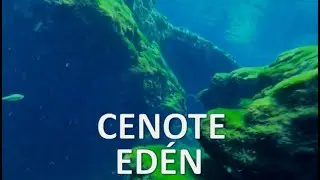 Cenote EDEN Ponderosa scuba diving and Sidemount Training in Open Water Caverns Diving Reality