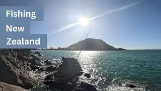 Fishing From The Surf and Cliffs of New Zealand