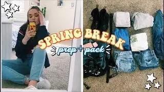 Prepare With Me For Spring Break 2019! | Mandi Grace
