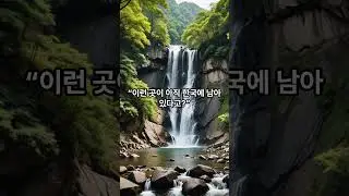 A Korean Hidden Valley 90% Don&rsquo;t Know｜Wangpicheon Valley & Pine Forest