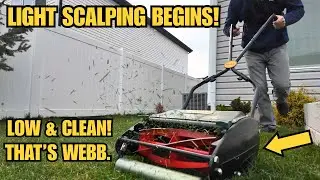 Webb Reel Mower in Action &ndash; Light Spring Scalp for Ryegrass Lawn