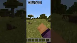 How to show day played and position Minecraft #minecraft