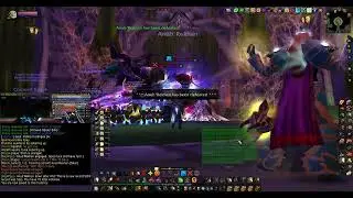 Turtle Wow - MM weekly Naxx - 29 January - Paladin