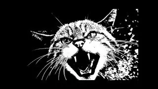 Wildcat - Panama Limited Jug Band - April 1968
