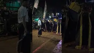SATRIO LEMBU GUMARANG On Javanese TV | #short #seni #budaya #carnaval #sports #trip #subscribe