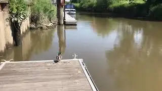 Feriendorf Altes Land an der Elbe - die L&uuml;he bei Steinkirchen