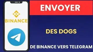 Comment envoyer des DOGS de Binance vers Telegram